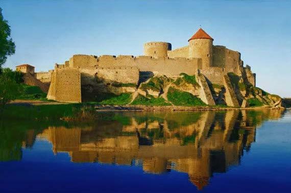 Апельсин Белгород-Днестровский Экстерьер фото
